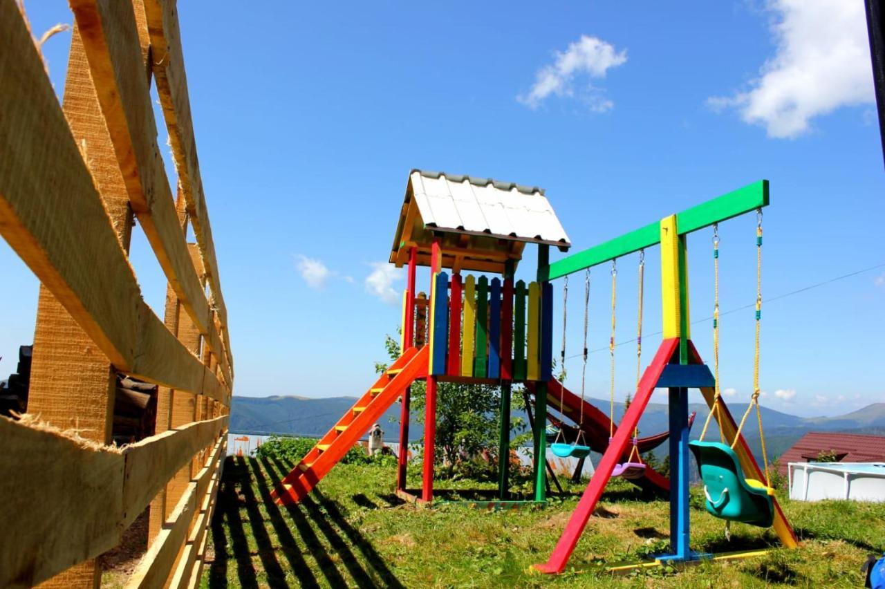 Complex Veverita Ranca Bagian luar foto